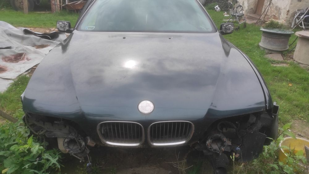 Maska BMW E39 zielona