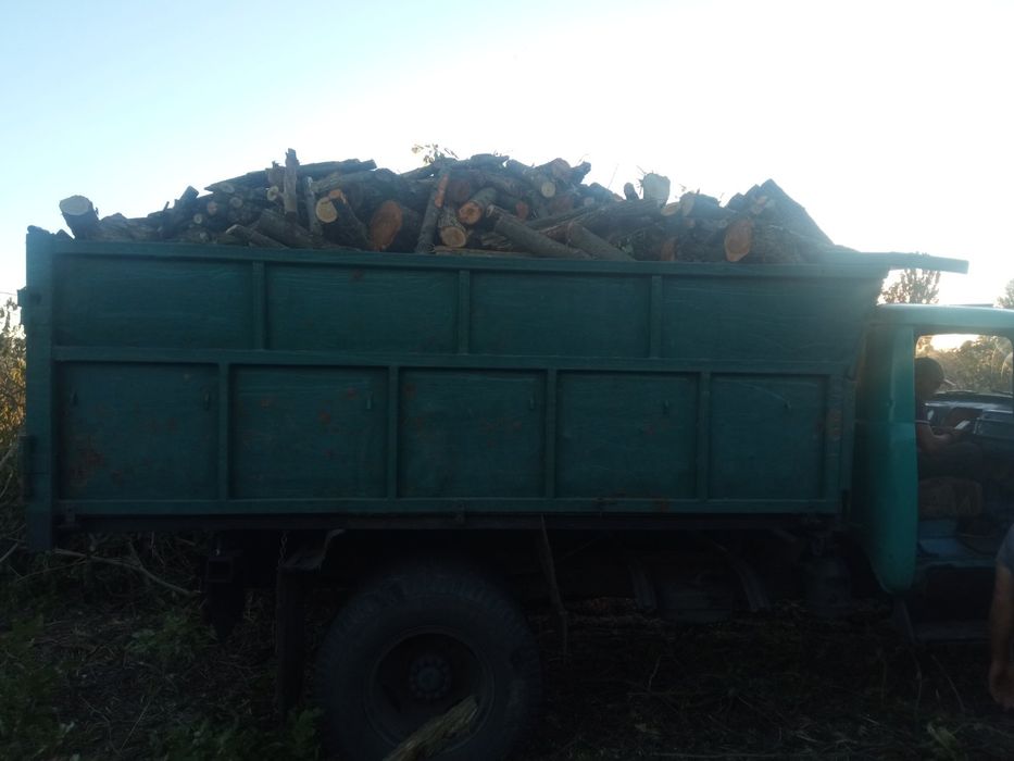 Продам дрова яблоня и клён