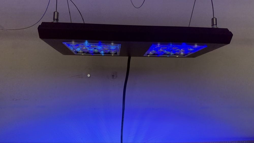 Reef Factory Reef flare Pro M 160W led akwarium morskie