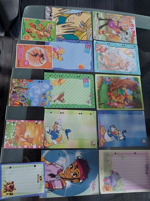 Karteczki do segregatora