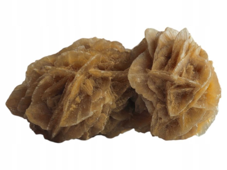 Róża Pustyni Naturalny Kryształ Selenitu Stan Bardzo Dobry