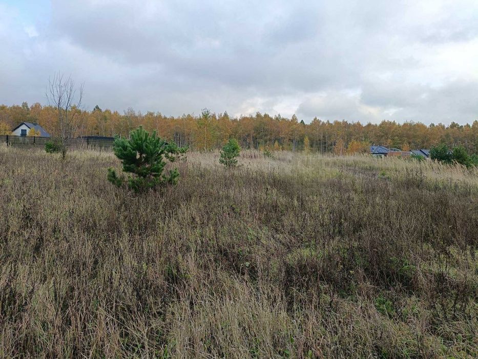 Działka w Wymysłowie na sprzedaż! - Widok 4