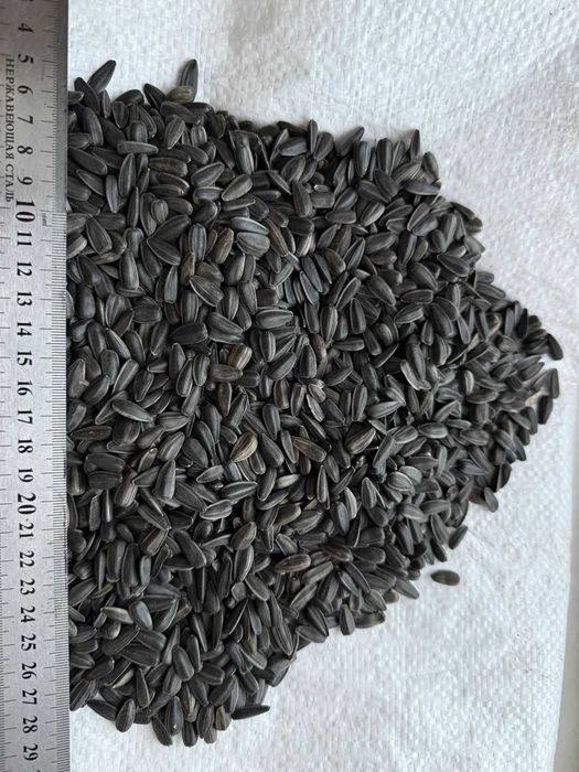 Насіння соняшника гібрид 3-8+мм