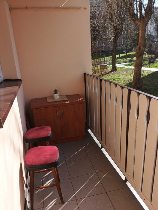 mieszkanie do wynajęcia