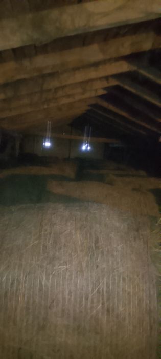 SPRZEDAM SIANO 130/120 cena 100zł