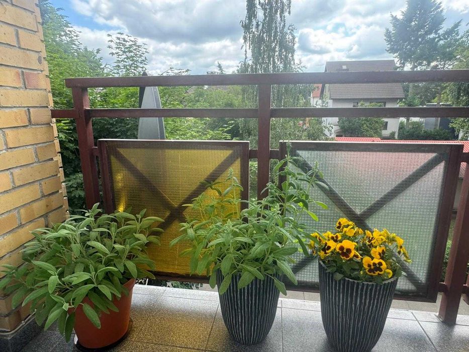 Sprzedam 3 pokojowe mieszkanie współdzielczo własnościowe - Widok 6
