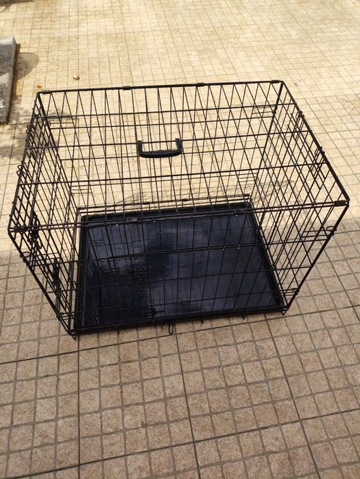 Jaula transporte cão
