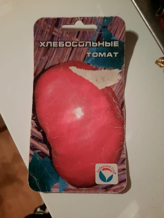 Nasiona pomidorów z Syberii