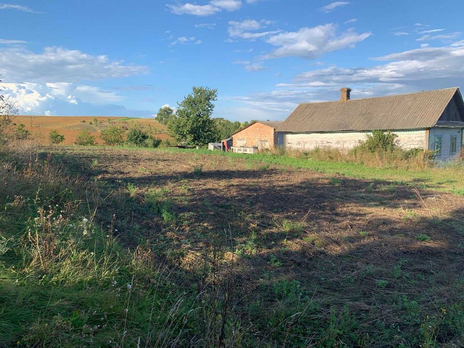 Продам ділянку 25 сотих зі старим будинком, с. Ставки