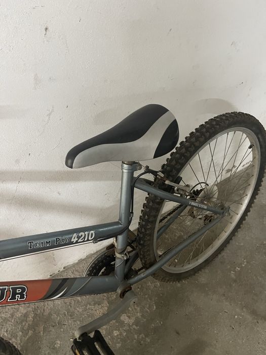 Bicicleta adulto