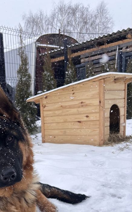 Будка для собаки