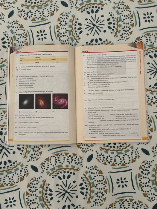 Caderno de Atividades Físico-Química 7º Ano Zoom