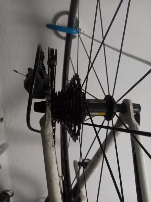 Bicicleta ciclismo Scott