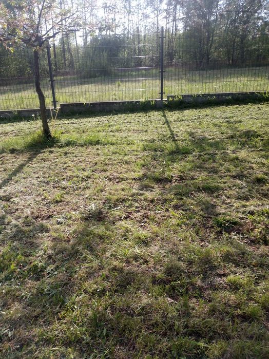Koszenie trawy, nieużytków
