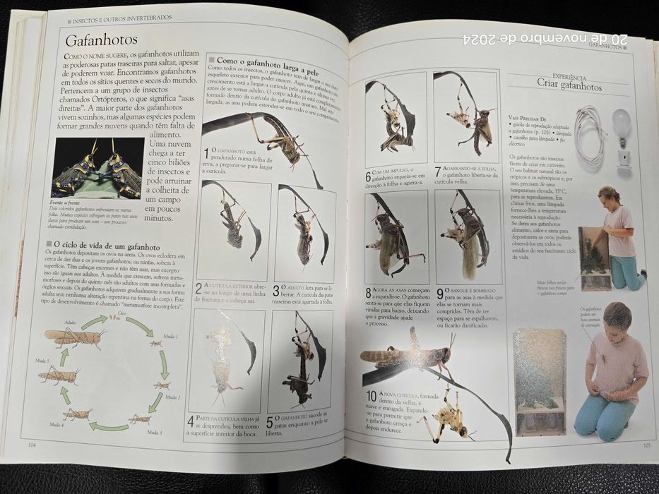 Livro - Como Funciona a Natureza - Novo