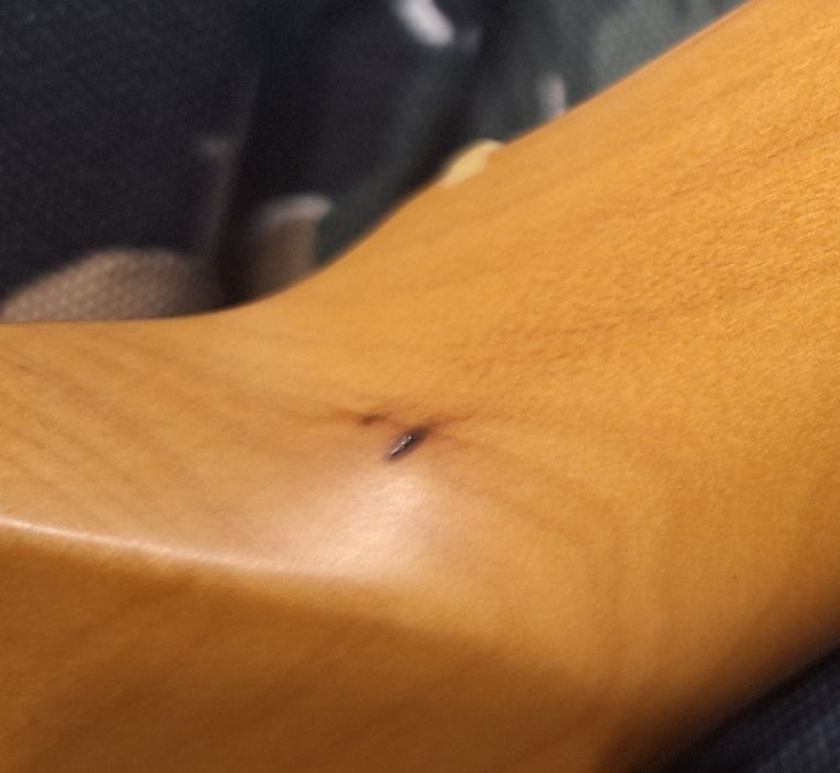 Fender Telecaster American Special gryf