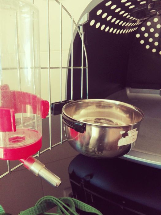 Caixa para transporte de animais + extras