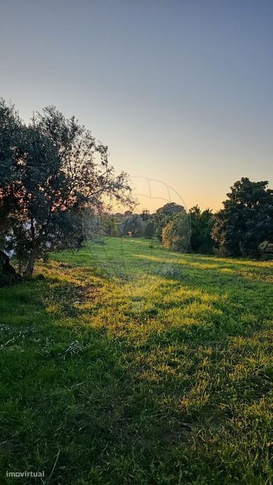 Terreno  para venda — Abrantes (São Vicente E São João) E Alferrarede, Santarém