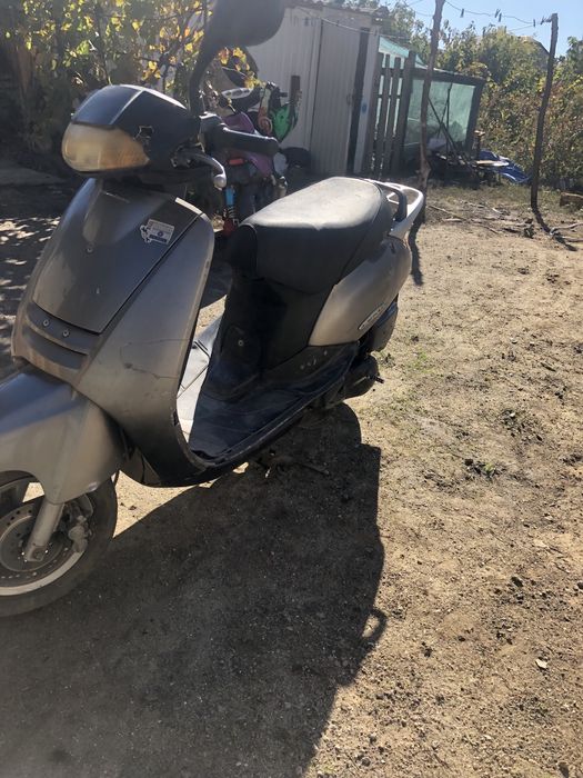 Honda lead 48   (хонда) на документах