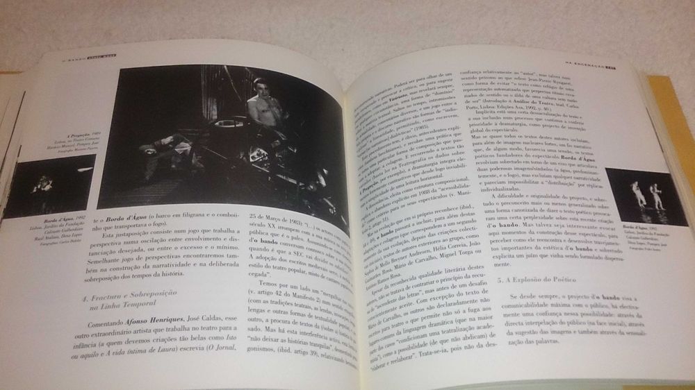 o bando (monografia de um grupo de teatro no seu vigésimo aniversário)