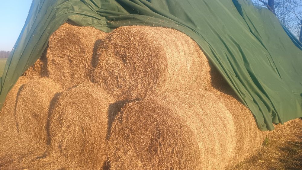 Sprzedam - słoma żytnia zbiór 2025