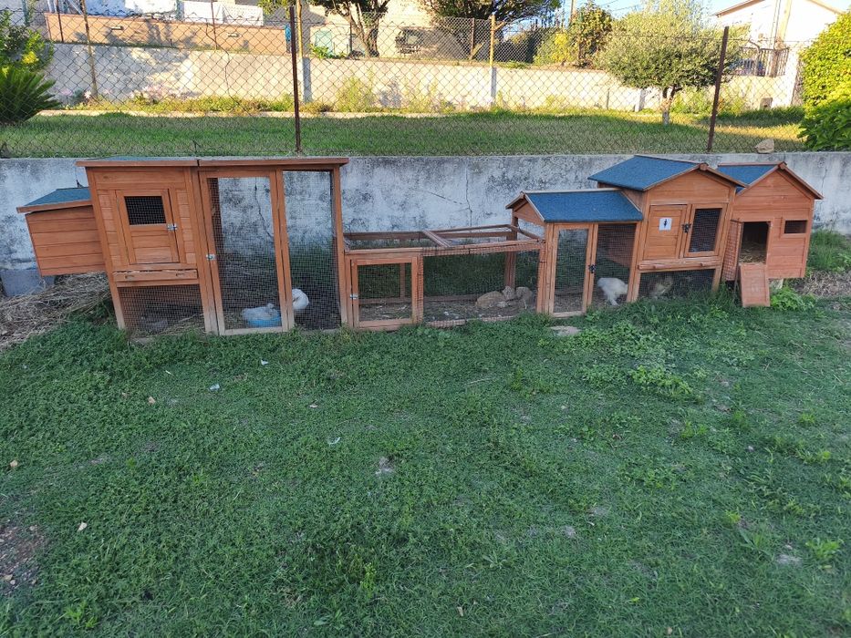 Casa para animais ...