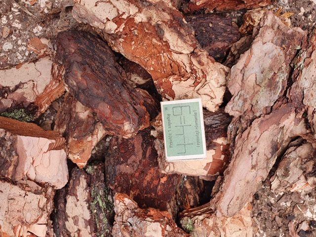 Kora sosnowa luzem kompostowana  borówka torf