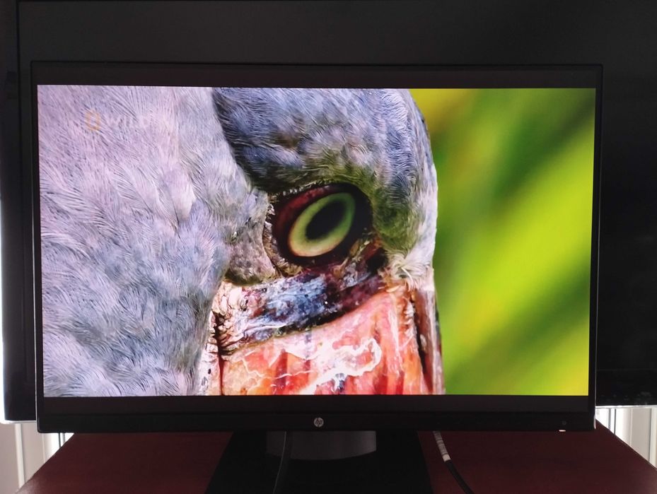 Monitor HP Z24n 1920x1200