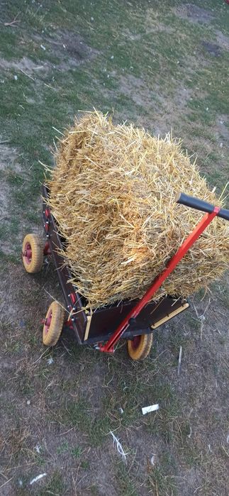 Słoma owsiana w kostkach BIO