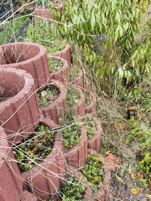 Artebel Planters64752340110850120