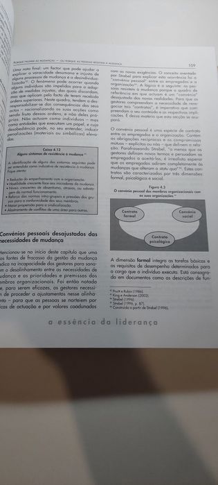 A Essência da Liderança, Mudança, Resultados, Integridade (1ª edição)