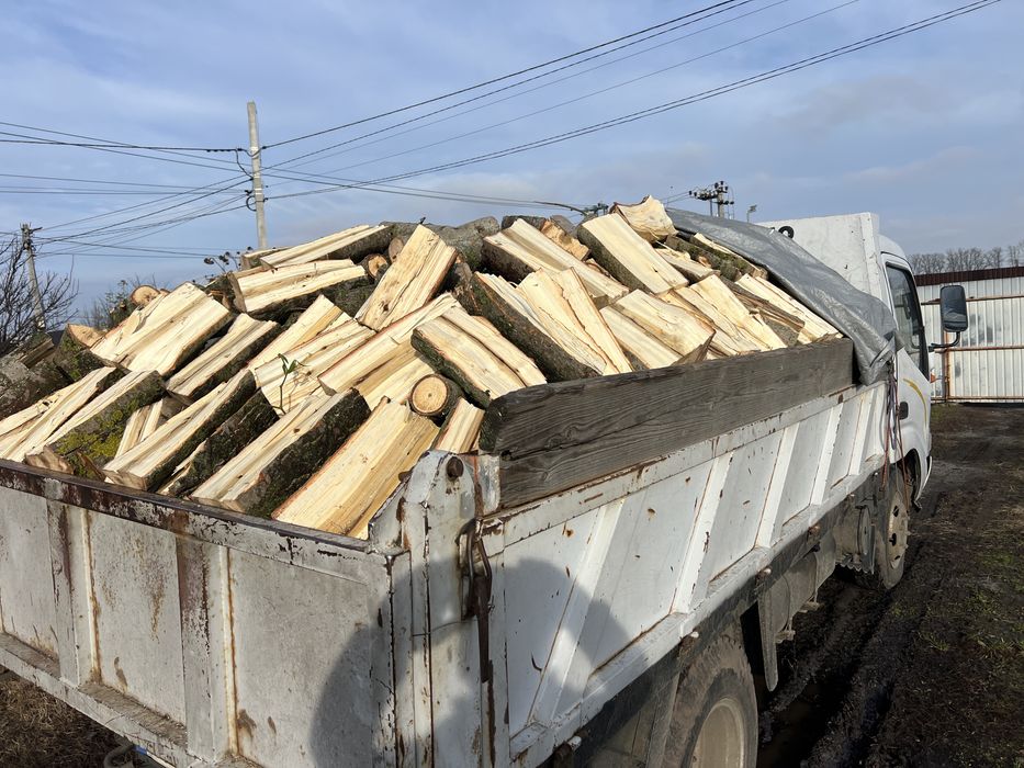 Дрова дешево от 2500 грн./метр