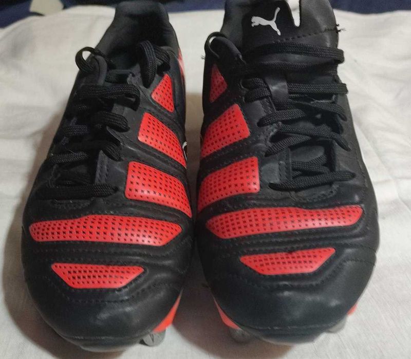 buty Puma 40.5 evoPower rugby #364