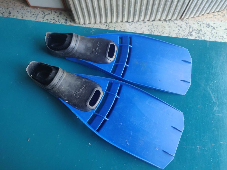 Barbatanas de adulto