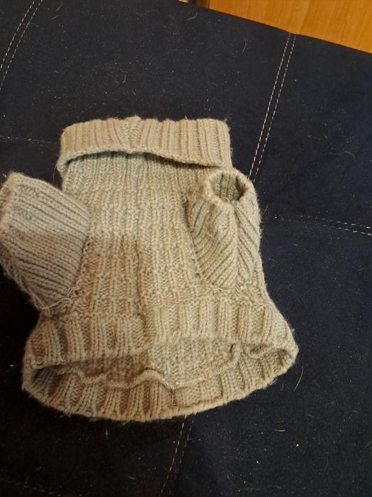 Одежда для животных