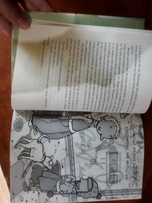 Książka Rico, Oskar i Złodziejski Kamień