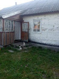 Продам будинок Левків