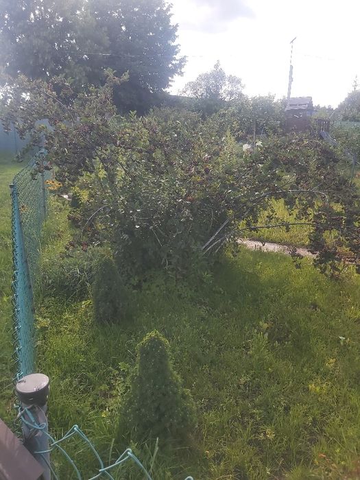Działka Rodo ulica Wiosenna