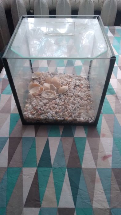 Продам акваріум на 5 літрів