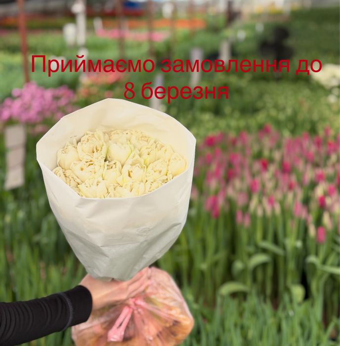 Квіти Оптом !приймаємо замовлення до 8 березня!