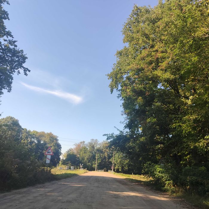 Земельна ділянка під лісом!!!