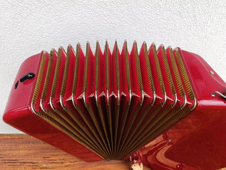 Akordeon Hohner Lucia 96 basów 3 chóry