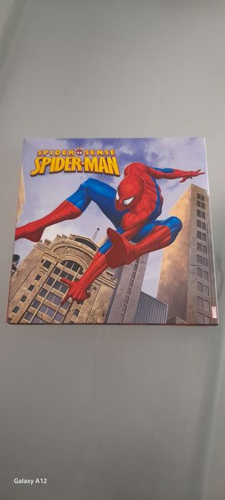 Quadro Homem Aranha.