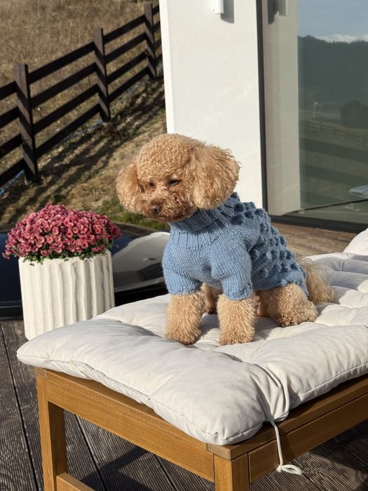 Светр для собаки/кота