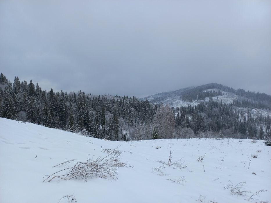 Продається земельна ділянка для ведення садівництва