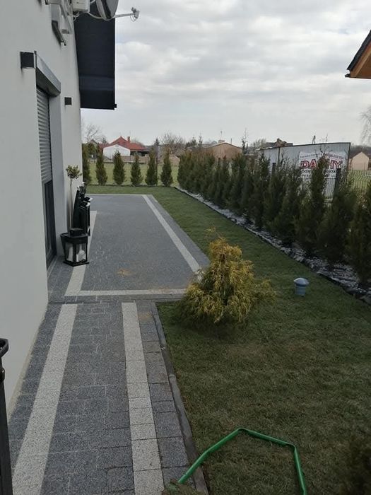 Ogrody trawniki zakładanie