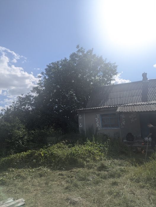 Продам будинок в мальовничому селі