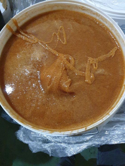 Miód Wrzosowy Galaretka