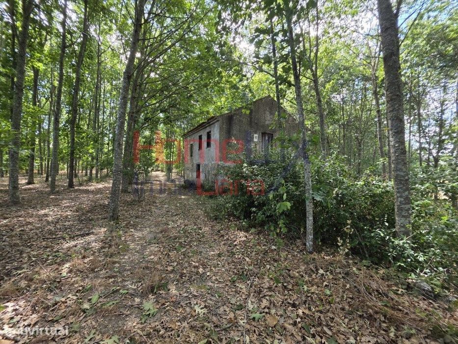 Country Estate with House for Sale in Germil, Penalva do Castelo