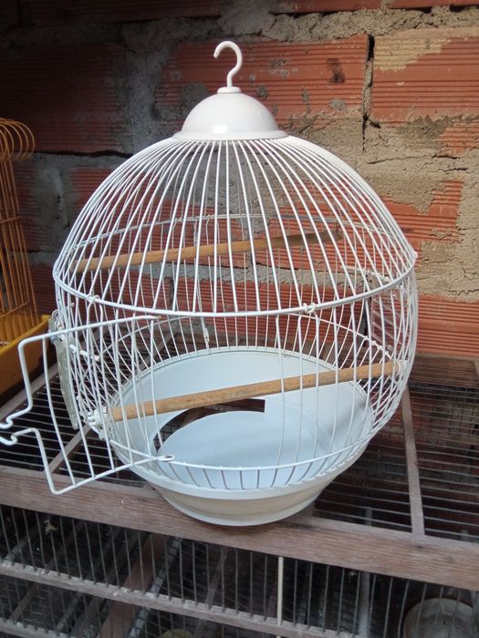 Gaiola redonda braca